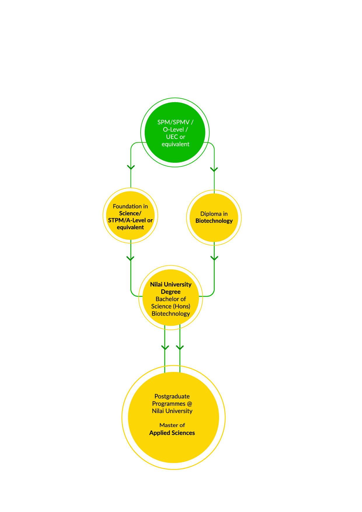 Programme Pathway